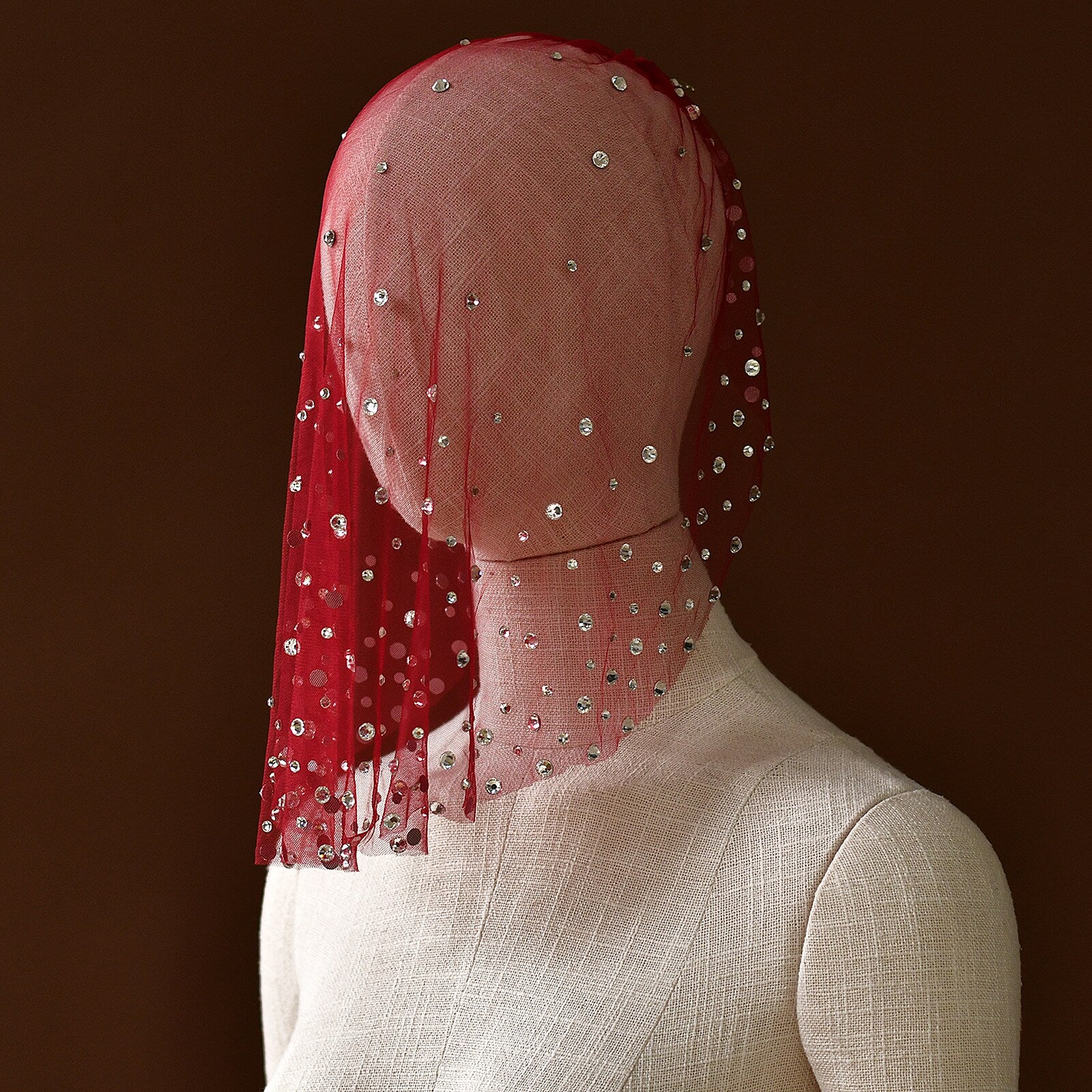 Romantic Red Birdcage Veil 17